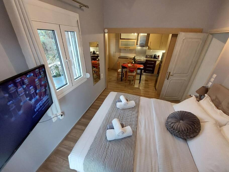 Filoxenia Apartment Ioannina